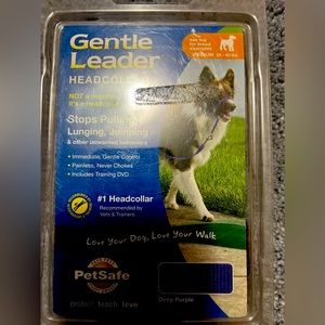 New / Holti for Dogs face